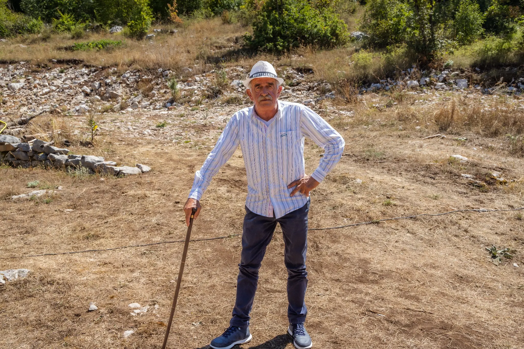 Skup Lješevostupaca 2025 — fotografija 265